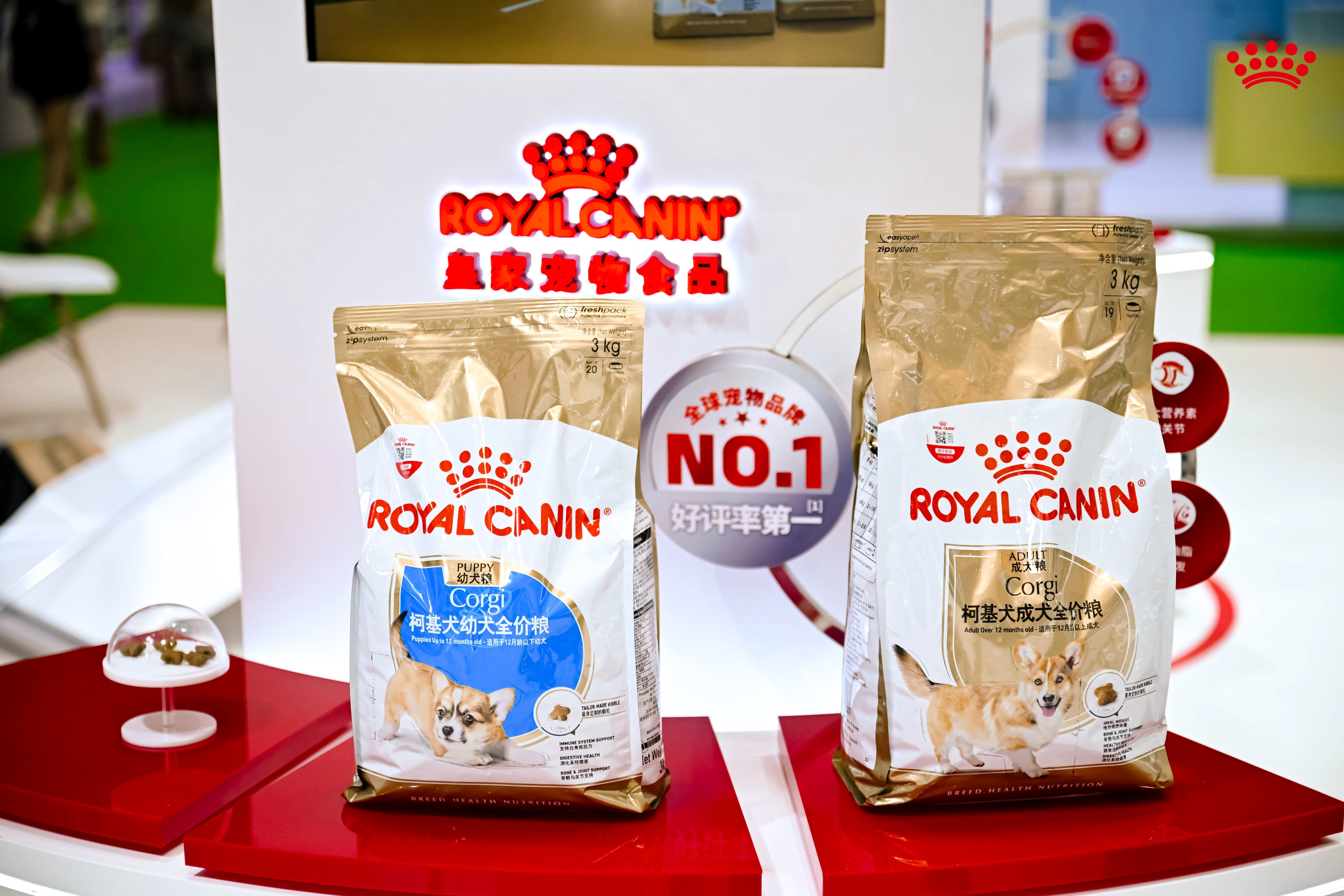 皇家于亚宠展现场发布柯基犬专用品种粮.jpg