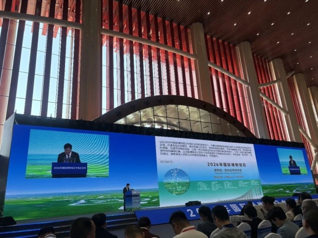 图片 6.jpg